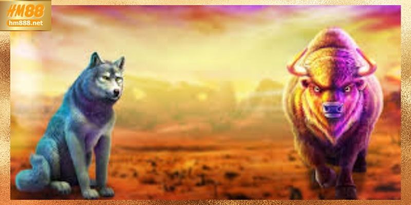 Buffalo King Megaways và cấu trúc vận hành nổi bật HM88