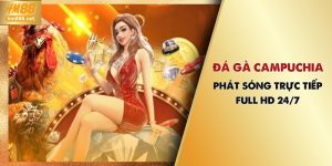 Đá Gà Campuchia | Phát Sóng Trực Tiếp Full HD 24/7