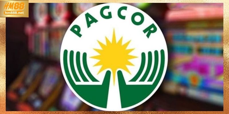 Khi giấy phép hoạt động trở thành thước đo uy tín