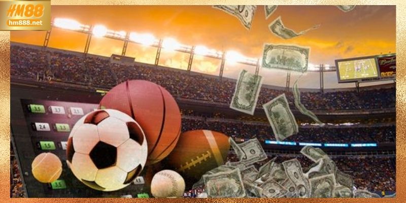 Lưu ý quan trọng khi chọn nền tảng cá cược soccer