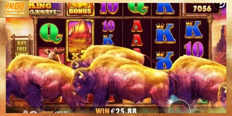 Vì sao Buffalo King Megaways được ưu tiên lựa chọn
